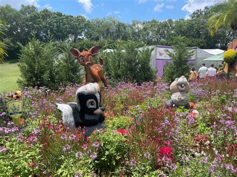Exploring Bambi’s Butterfly House & Gardens at the .